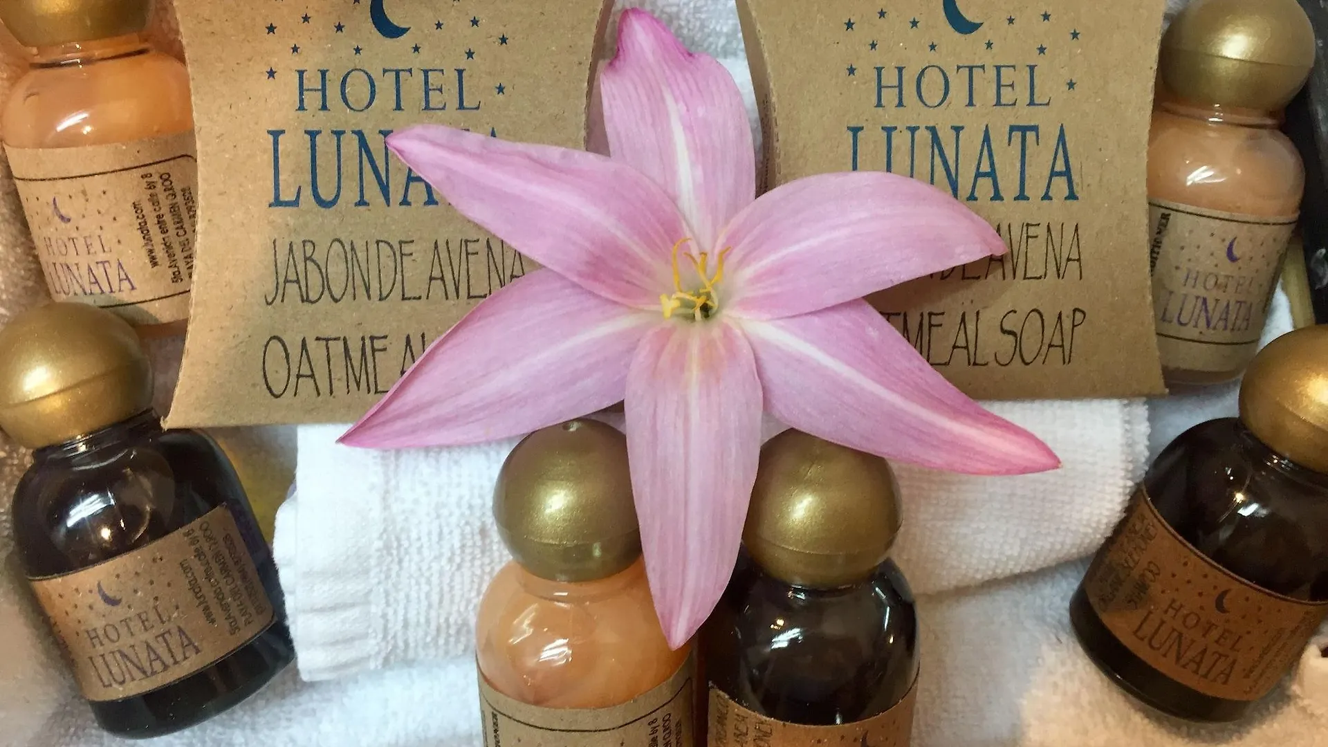 Hotel Lunata - 5Th Avenue (Adults Only) Playa del Carmen 3*,